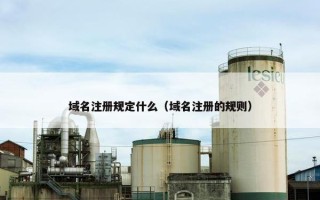 域名注册规定什么（域名注册的规则）