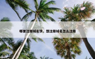 哪里注册域名快，想注册域名怎么注册