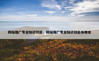 网站推广专业知识技能，网站推广专业知识技能有哪些
