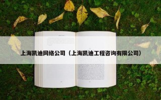 上海凯迪网络公司（上海凯迪工程咨询有限公司）