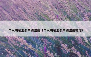 个人域名怎么申请注册（个人域名怎么申请注册微信）