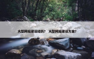 大型网站建设经历？ 大型网站建设方案？