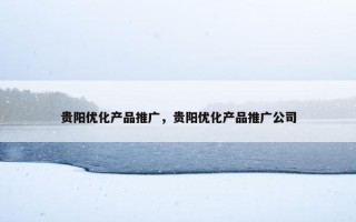 贵阳优化产品推广，贵阳优化产品推广公司
