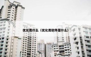 优化类什么（优化类软件是什么）