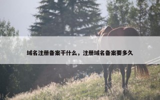 域名注册备案干什么，注册域名备案要多久