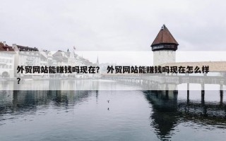 外贸网站能赚钱吗现在？ 外贸网站能赚钱吗现在怎么样？