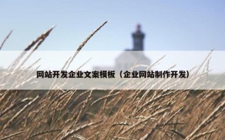 网站开发企业文案模板（企业网站制作开发）