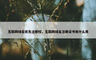 互联网域名优先注册权，互联网域名注册证书有什么用