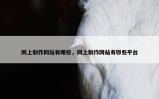 网上制作网站有哪些，网上制作网站有哪些平台