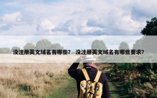 没注册英文域名有哪些？ 没注册英文域名有哪些要求？