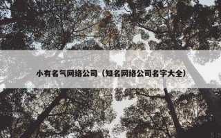 小有名气网络公司（知名网络公司名字大全）