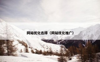 网站优化选择（网站优化推广）