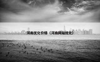 河南优化价格（河南网站优化）
