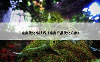 电商优化小技巧（电商产品优化方案）