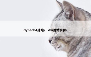 dynadot建站？ dw建站步骤？