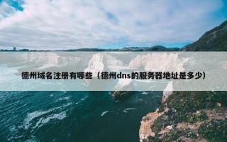 德州域名注册有哪些（德州dns的服务器地址是多少）