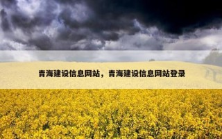 青海建设信息网站，青海建设信息网站登录