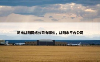 湖南益阳网络公司有哪些，益阳市平台公司
