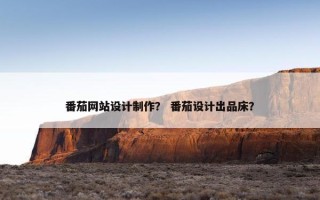 番茄网站设计制作？ 番茄设计出品床？