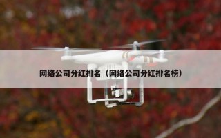 网络公司分红排名（网络公司分红排名榜）