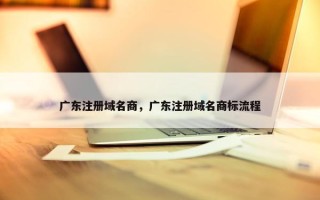 广东注册域名商，广东注册域名商标流程