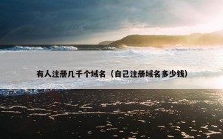 有人注册几千个域名（自己注册域名多少钱）
