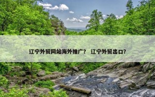 辽宁外贸网站海外推广？ 辽宁外贸出口？