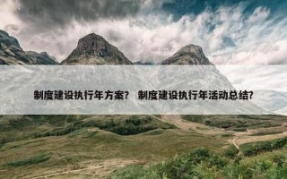 制度建设执行年方案？ 制度建设执行年活动总结？