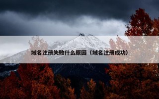 域名注册失败什么原因（域名注册成功）