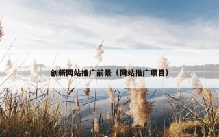 创新网站推广前景（网站推广项目）
