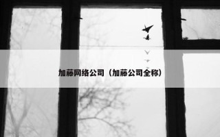 加藤网络公司（加藤公司全称）