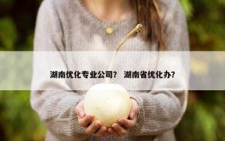 湖南优化专业公司？ 湖南省优化办？