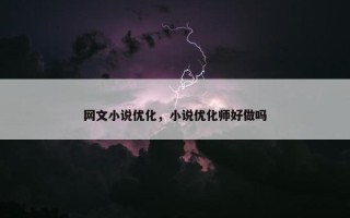 网文小说优化，小说优化师好做吗