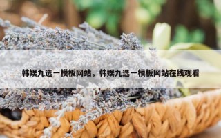 韩娱九选一模板网站，韩娱九选一模板网站在线观看