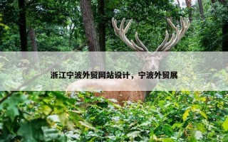 浙江宁波外贸网站设计，宁波外贸展