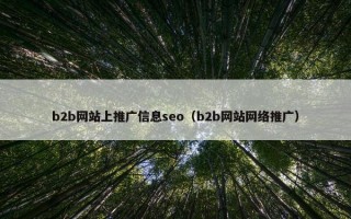 b2b网站上推广信息seo（b2b网站网络推广）