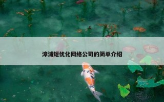 漳浦短优化网络公司的简单介绍