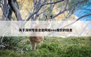 关于深圳专业企业网站seo报价的信息