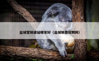 盐城营销建站哪家好（盐城销售招聘网）