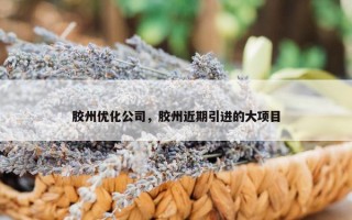 胶州优化公司，胶州近期引进的大项目