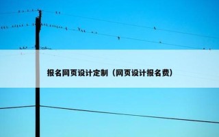 报名网页设计定制（网页设计报名费）