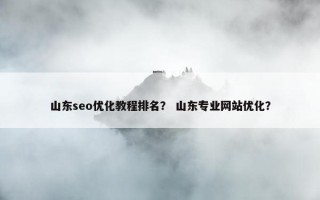 山东seo优化教程排名？ 山东专业网站优化？
