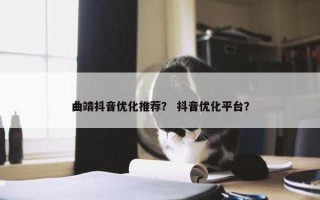 曲靖抖音优化推荐？ 抖音优化平台？