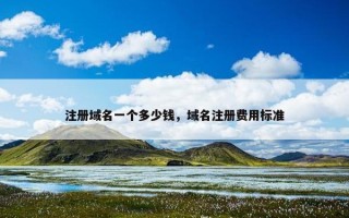 注册域名一个多少钱，域名注册费用标准