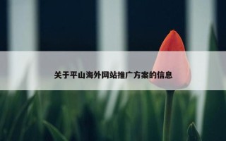关于平山海外网站推广方案的信息