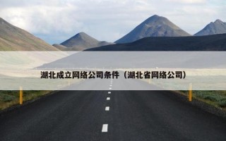 湖北成立网络公司条件（湖北省网络公司）