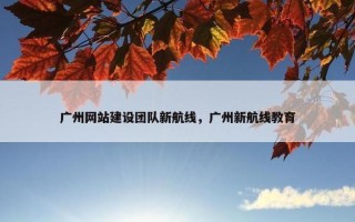 广州网站建设团队新航线，广州新航线教育
