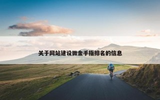 关于网站建设微金手指排名的信息