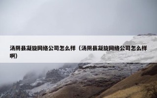 汤阴县凝旋网络公司怎么样（汤阴县凝旋网络公司怎么样啊）