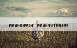 网页设计报班哪个好？ 网页设计培训学校哪个好？